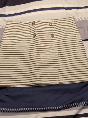 LOFT Ivory Mini Skirt with Black Stripes and Button Detail